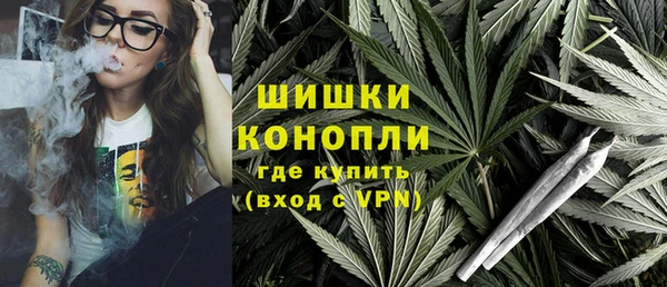 марки lsd Бородино