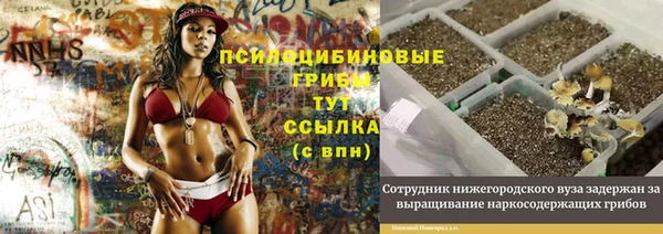 а пвп мука Бронницы